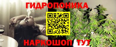 шишки Наро-Фоминск
