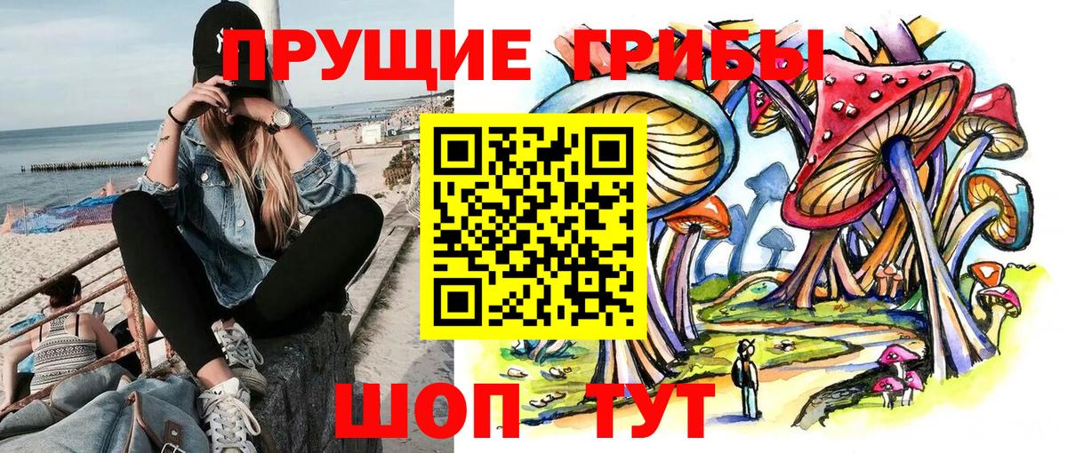 Галлюциногенные грибы MAGIC MUSHROOMS Петропавловск-Камчатский