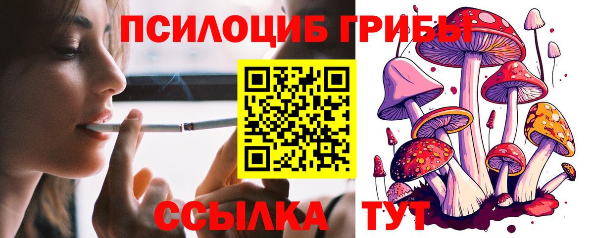 Петропавловск-Камчатский  Псилоцибиновые грибы мицелий  Вход с VPN 